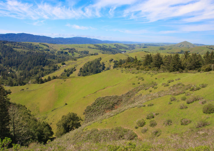 Marin County